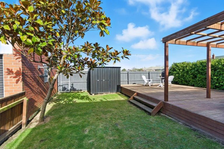 Photo of property in 253 Macandrew Road, Forbury, Dunedin, 9012