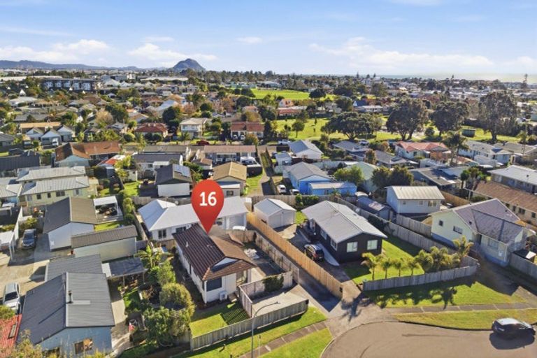 Photo of property in 16 Tahara Crescent, Mount Maunganui, 3116