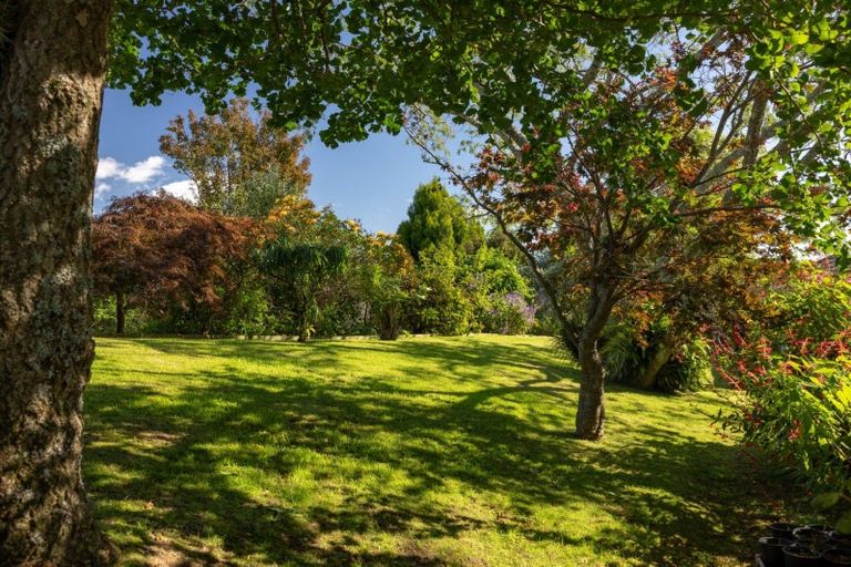 Photo of property in 16 Gunbar Drive, Welcome Bay, Tauranga, 3175