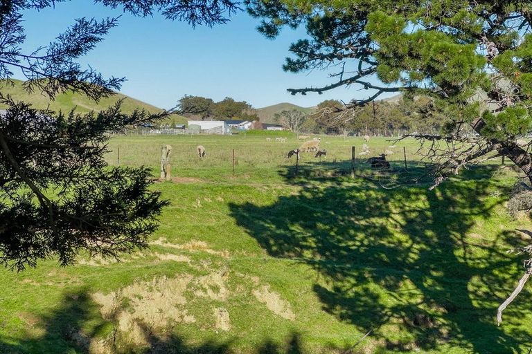 Photo of property in 453 Tetley Brook Road, Seddon, 7285