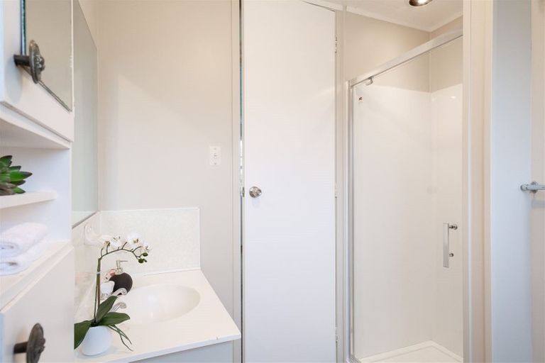 Photo of property in 206 Williams Street, Te Awamutu, 3800