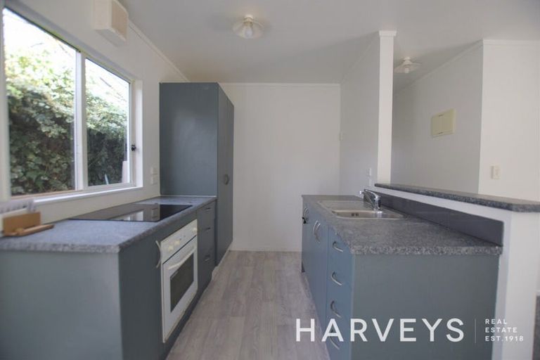 Photo of property in 46 Hindmarsh Street, Henderson, Auckland, 0612