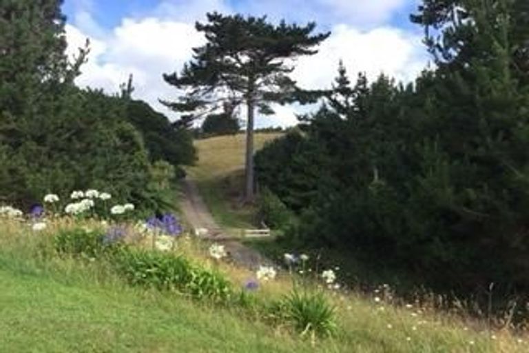 Photo of property in 186 Creamery Road, Pollok, Waiuku, 2683