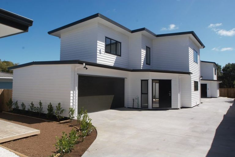 Photo of property in 11 Vic Butler Street, Mount Roskill, Auckland, 1041