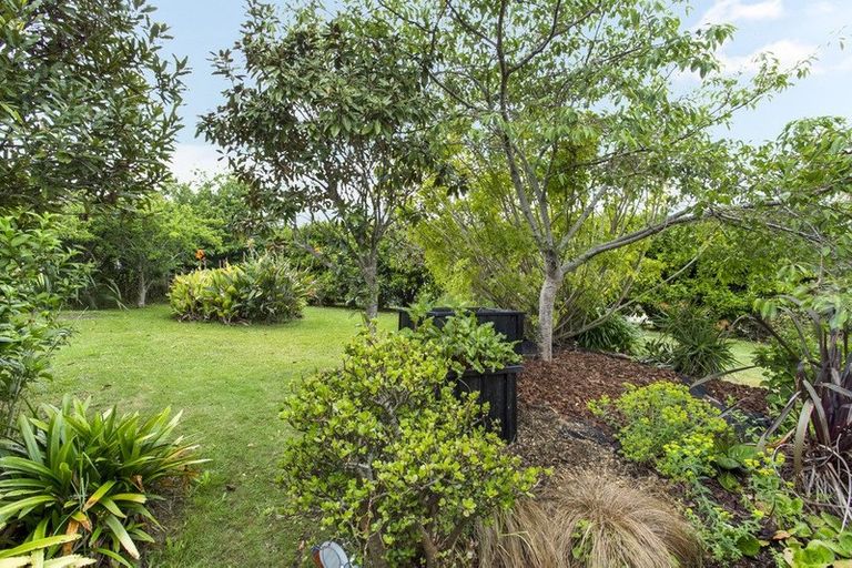 Photo of property in 60 Omana Avenue, Shelly Beach, Helensville, 0874