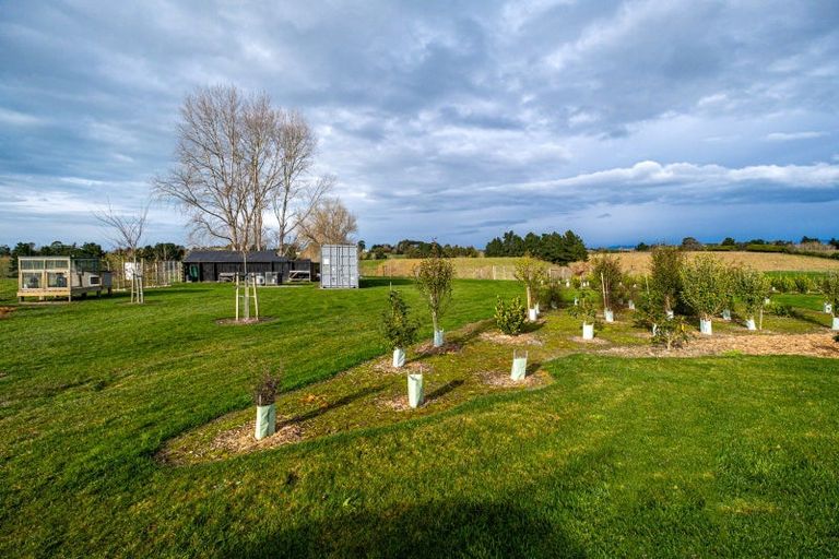 Photo of property in 99 Rosebrook Road, Claremont, Timaru, 7974