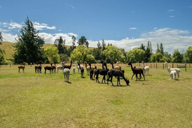 Photo of property in 376 Neudorf Road, Upper Moutere, 7175