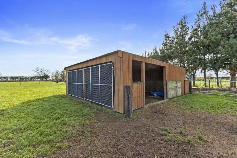 Photo of property in 385 Whakahoro Road, Springdale, Waitoa, 3380