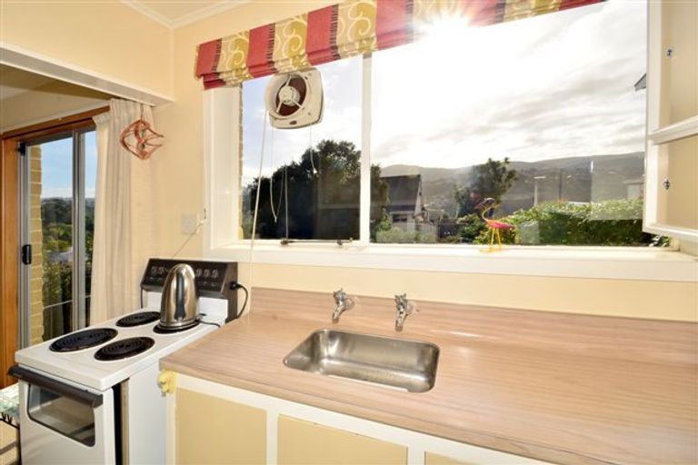 Photo of property in 17a Signal Hill Road, Opoho, Dunedin, 9010