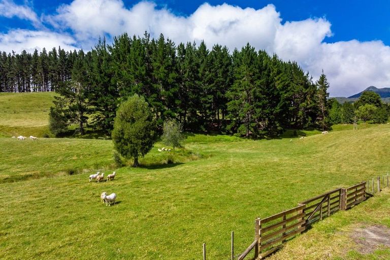 Photo of property in 1941 Tangowahine Valley Road, Tangowahine, Dargaville, 0372