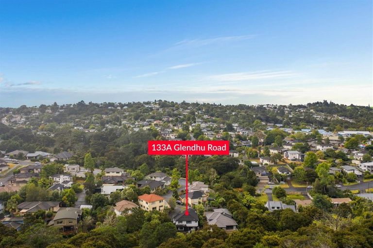 Photo of property in 133a Glendhu Road, Bayview, Auckland, 0629