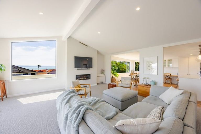 Photo of property in 17 Roslyn Road, Bluff Hill, Napier, 4110