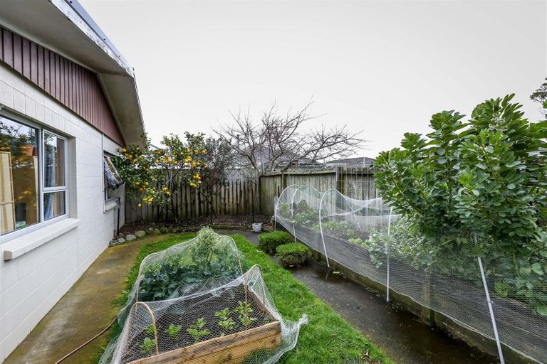 Photo of property in 14 Karamu Street, Strandon, New Plymouth, 4312