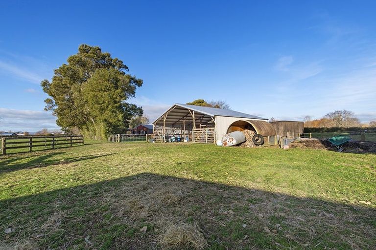Photo of property in 37 Tarr Road, Ohaupo, 3881