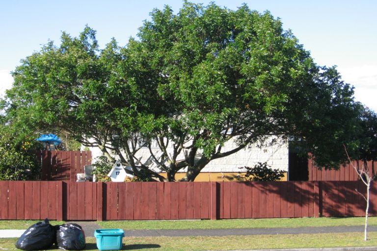 Photo of property in 17 Lindsay Crescent, Nawton, Hamilton, 3200