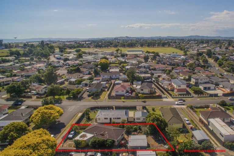 Photo of property in 61 Catkin Crescent, Papatoetoe, Auckland, 2025