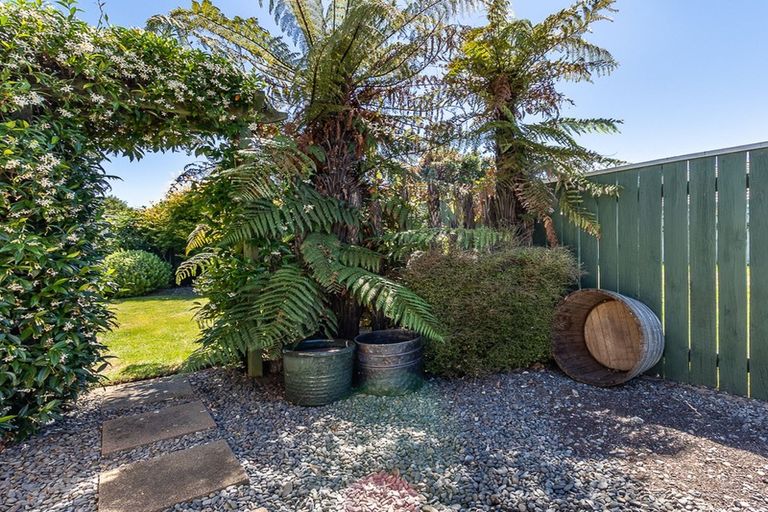 Photo of property in 51 Guildford Drive, Paraparaumu, 5032