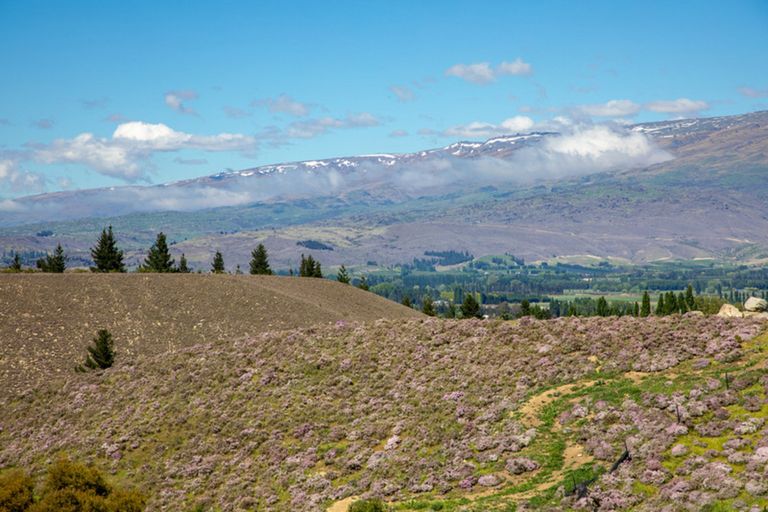 Photo of property in 267 Springvale Road, Springvale, Alexandra, 9391