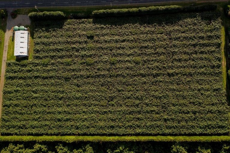 Photo of property in 39 Prole Road, Omokoroa, Tauranga, 3172