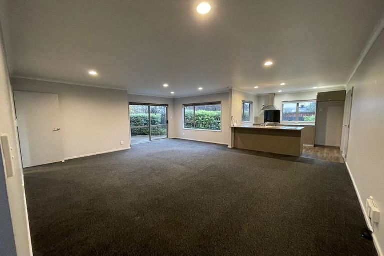 Photo of property in 14a Belvue Crescent, Witherlea, Blenheim, 7201