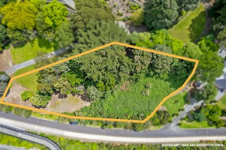 Photo of property in 43 Rongomau Lane, Raumati South, Paraparaumu, 5032
