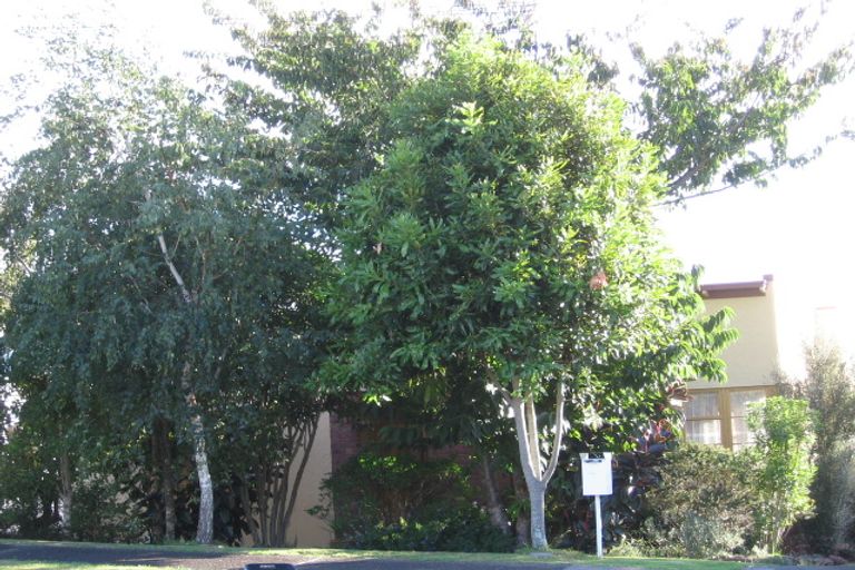 Photo of property in 14a Knight Avenue, Mount Albert, Auckland, 1025