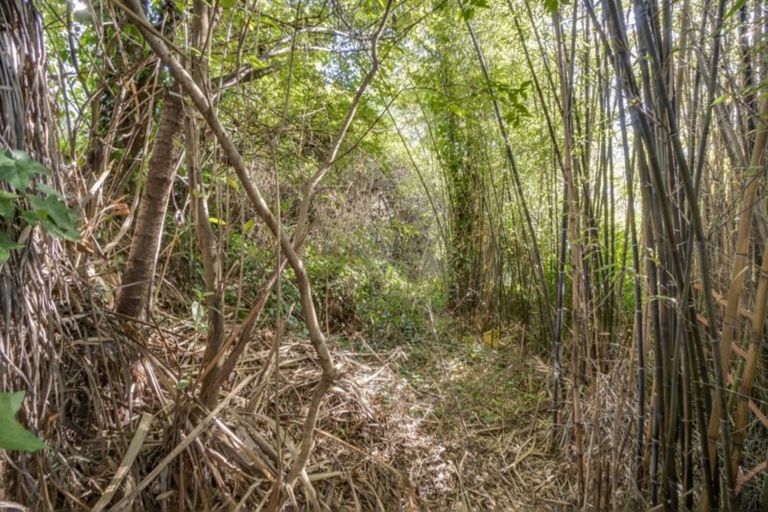 Photo of property in 13 Konini Street, Nelson South, Nelson, 7010