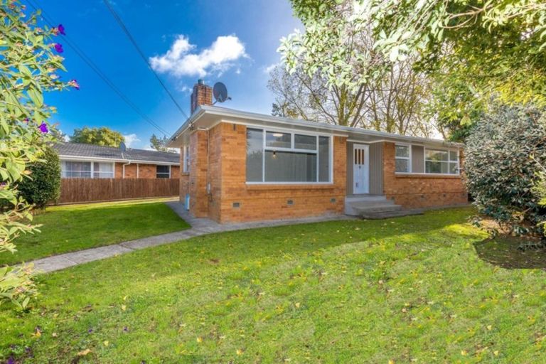 Photo of property in 91 Bruce Avenue, Glenview, Hamilton, 3206