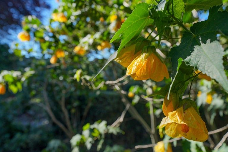 Photo of property in 197 Mary Street, Richmond, Invercargill, 9810