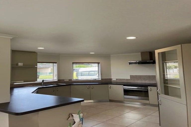 Photo of property in 73 Solomon Street, Brookfield, Tauranga, 3110