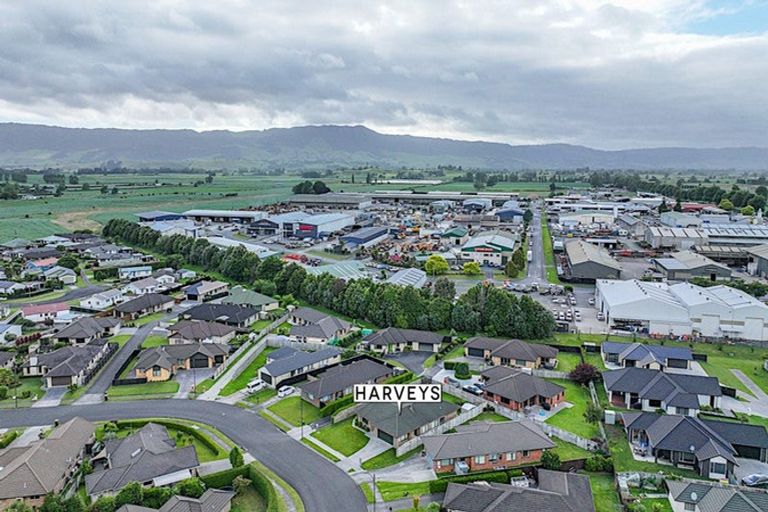 Photo of property in 56 Matipo Street, Matamata, 3400