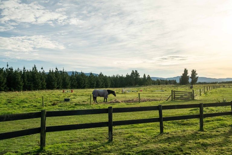 Photo of property in 237 Depot Road, Burnt Hill, Oxford, 7495