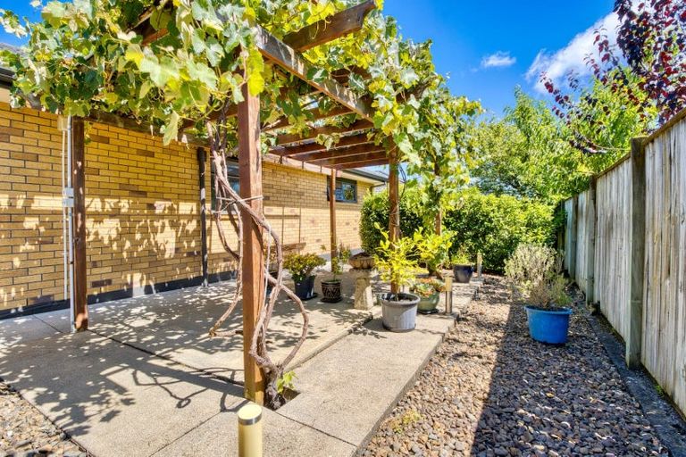 Photo of property in 31 Fairview Place, Havelock North, 4130