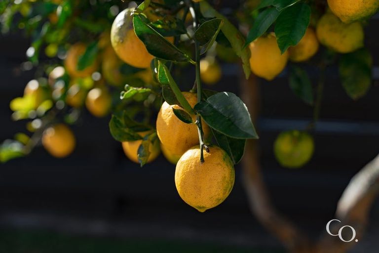 Photo of property in 38b Pooles Road, Greerton, Tauranga, 3112