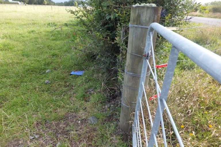 Photo of property in 89 Lepper Road, Inglewood, 4386