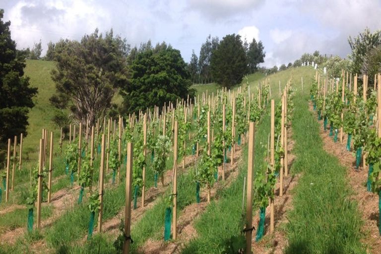 Photo of property in 124 Wearmouth Road, Paparoa, 0571