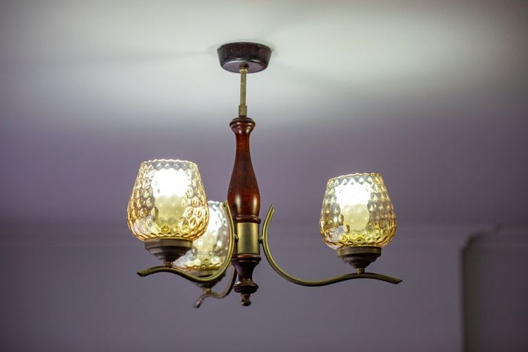 Photo of property in 7 Griffiths Place, Claudelands, Hamilton, 3214