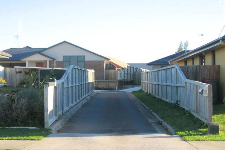 Photo of property in 37 Tuirangi Street, Flagstaff, Hamilton, 3210