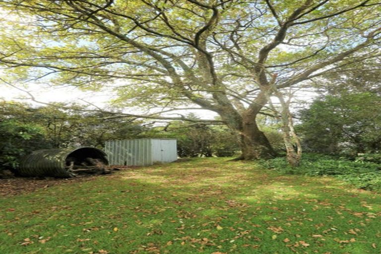 Photo of property in 52 Mako Avenue, Whiritoa, Whangamata, 3691