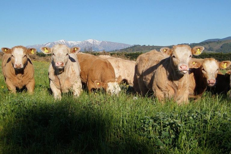 Photo of property in 48 Gardiners Road, Starvation Hill, 7495