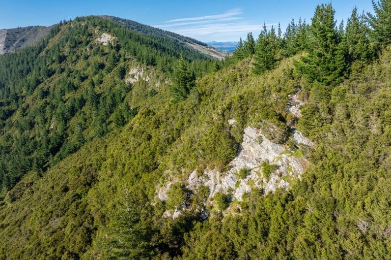 Photo of property in 793 Waikakaho Road, Tuamarina, Blenheim, 7273
