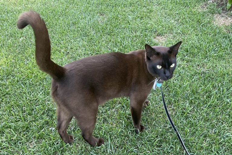 Photo of property in 186 Oceanbeach Road, Mount Maunganui, 3116