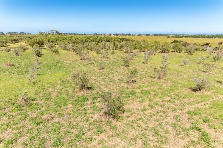 Photo of property in 1426a Inland Road, Karikari Peninsula, 0483