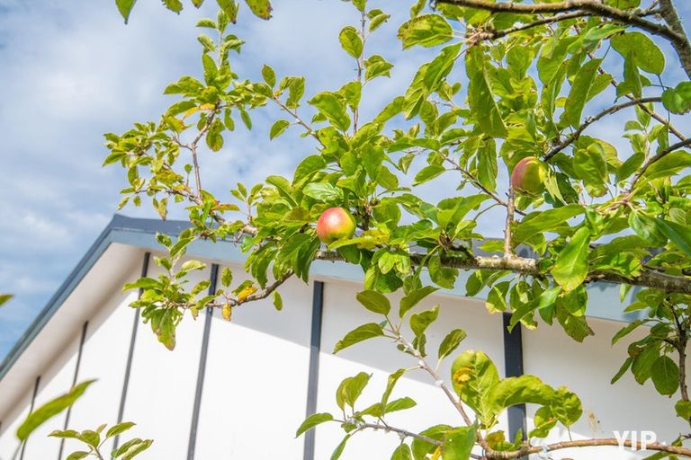 Photo of property in 59 Truscott Avenue, Johnsonville, Wellington, 6037