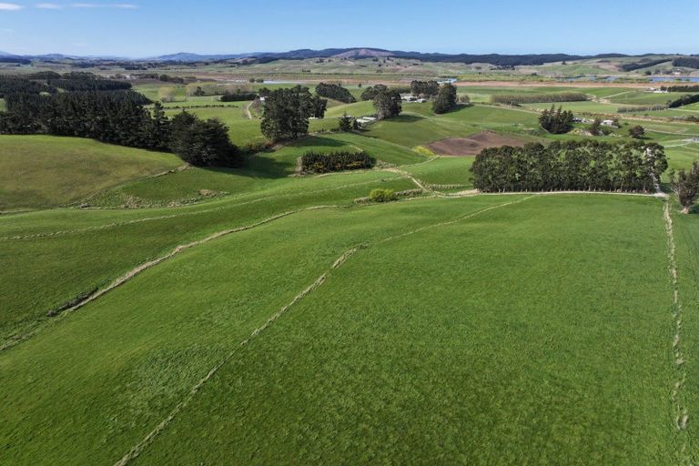 Photo of property in 31 Windy Ridge Road, Benhar, Balclutha, 9272