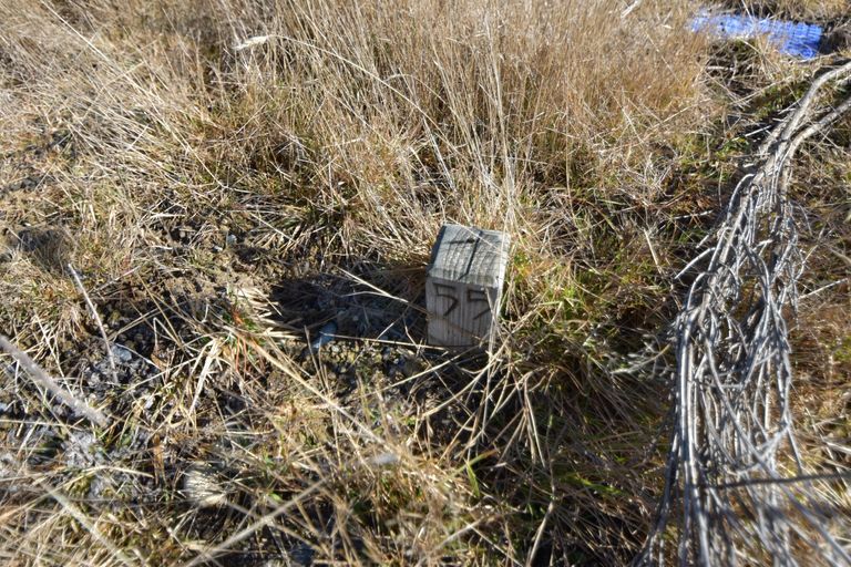 Photo of property in 80 Ohau Drive, Lake Ohau, Twizel, 9412