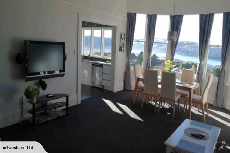 Photo of property in 26 Tweed Street, Roslyn, Dunedin, 9010