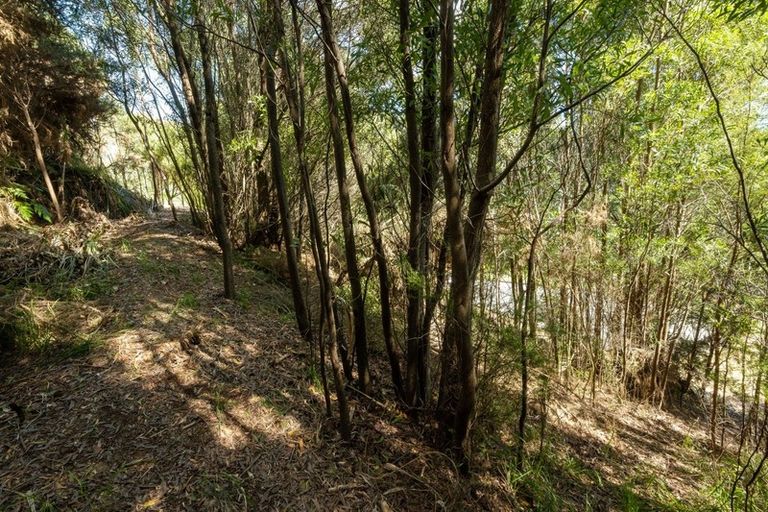 Photo of property in 16 Kakapo Rise, Picton, 7220