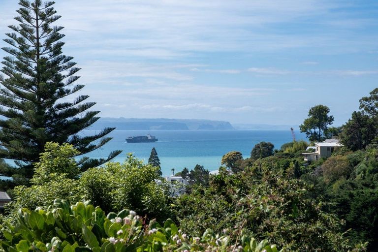 Photo of property in 31 Fitzroy Road, Bluff Hill, Napier, 4110
