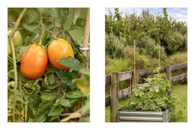 Photo of property in 14 Anglers Way, Omokoroa, 3114